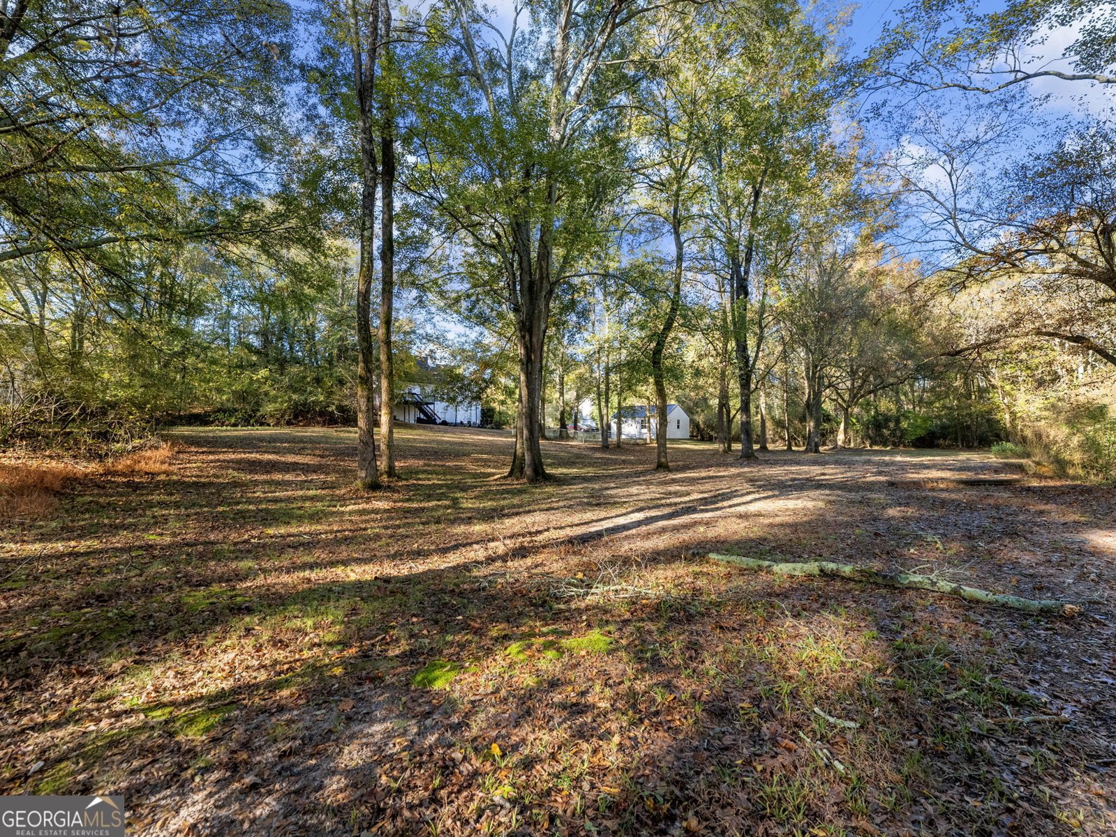 74 Indian Creek Way Hoschton - 70