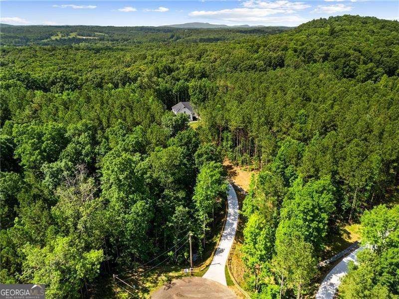 126 Jerusalem Farms Trail Jasper - 3