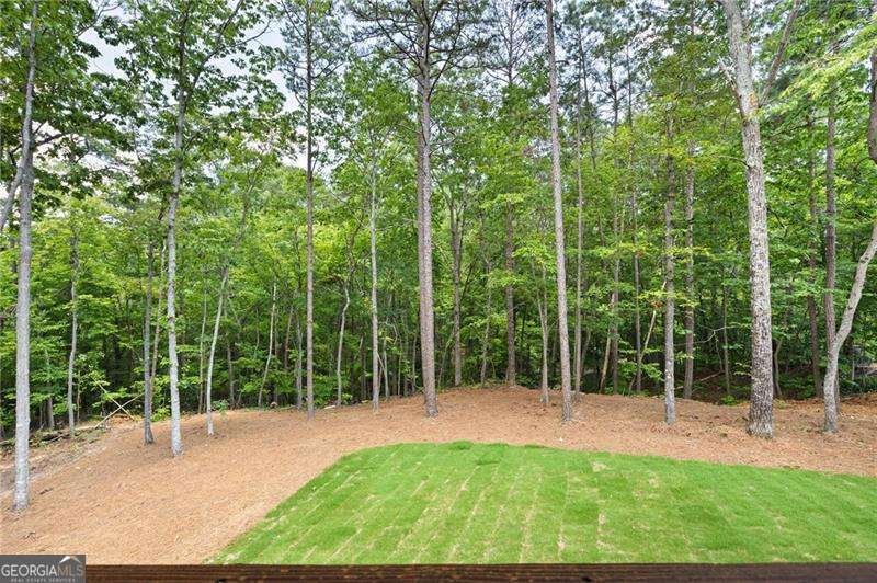 66 B PMB Young Road Cartersville - 8