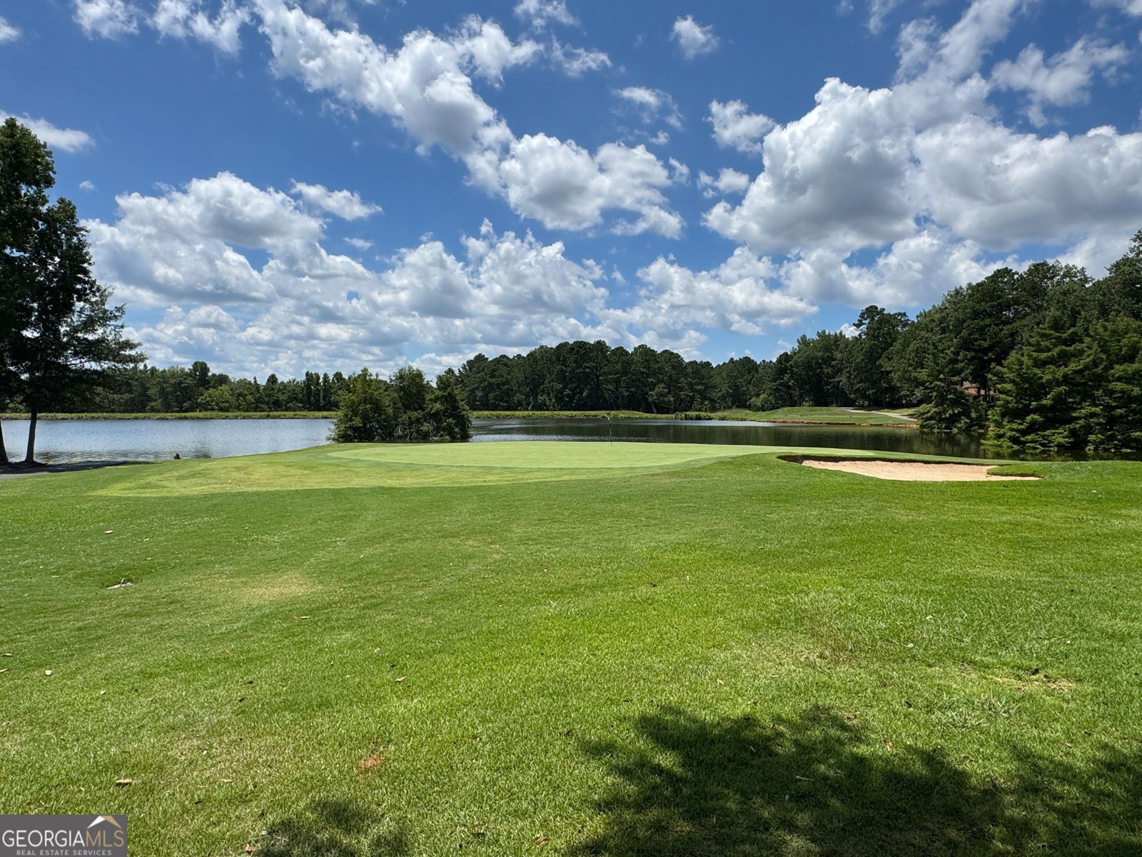 161 Lake Shore Drive Newnan - 72