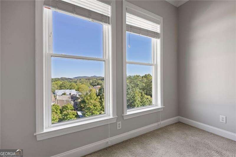 360 Chambers Street Woodstock - 19