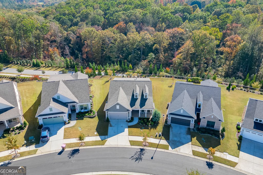 4941 Adler Court Hoschton - 49