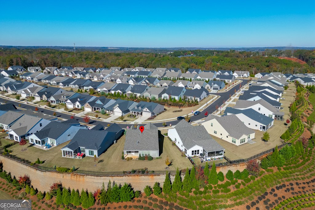 4941 Adler Court Hoschton - 52