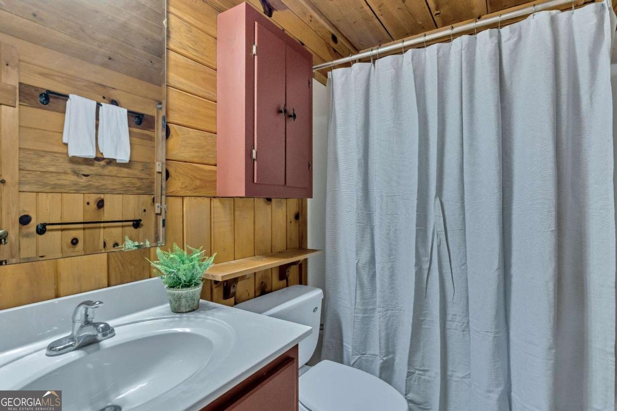 1164 Dividing Ridge Road Mineral Bluff - 23