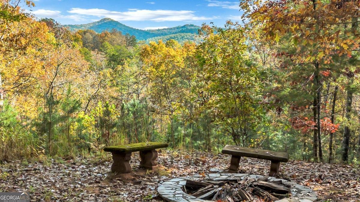 1164 Dividing Ridge Road Mineral Bluff - 27