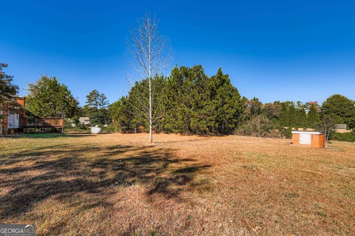 250 Smile Drive Conyers - 10