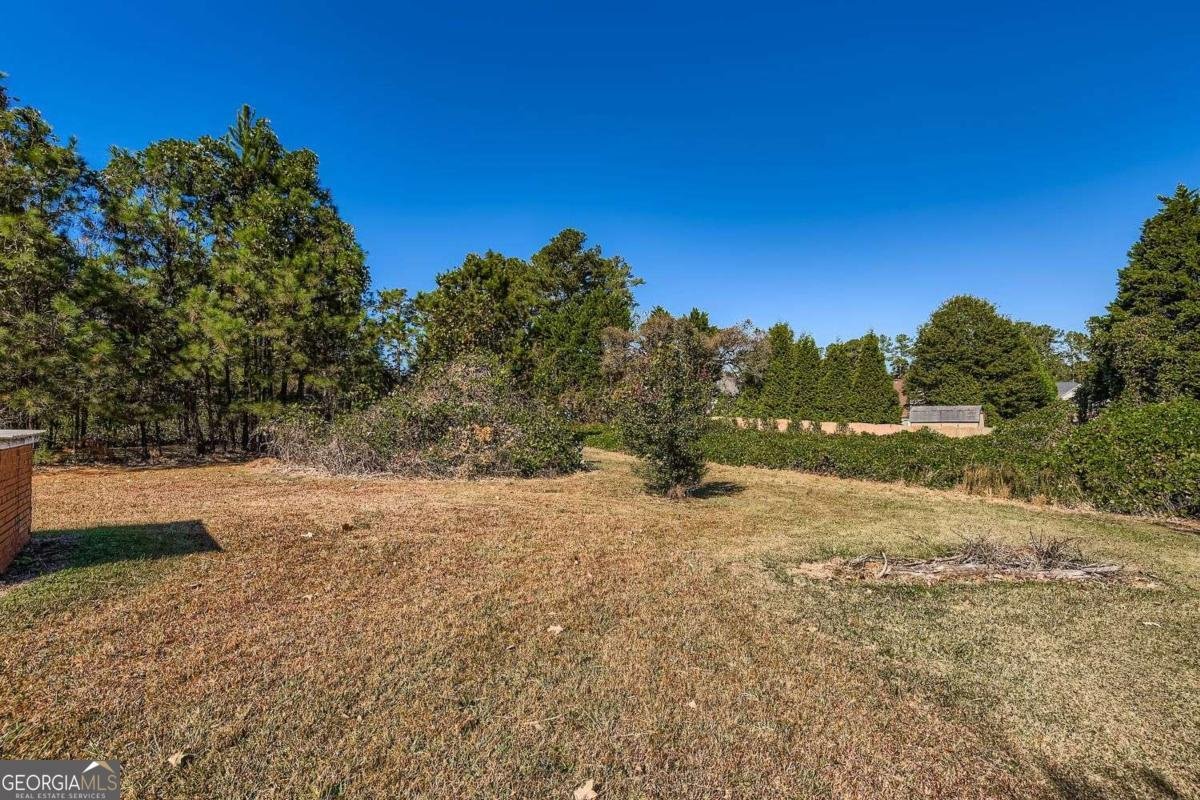 250 Smile Drive Conyers - 12