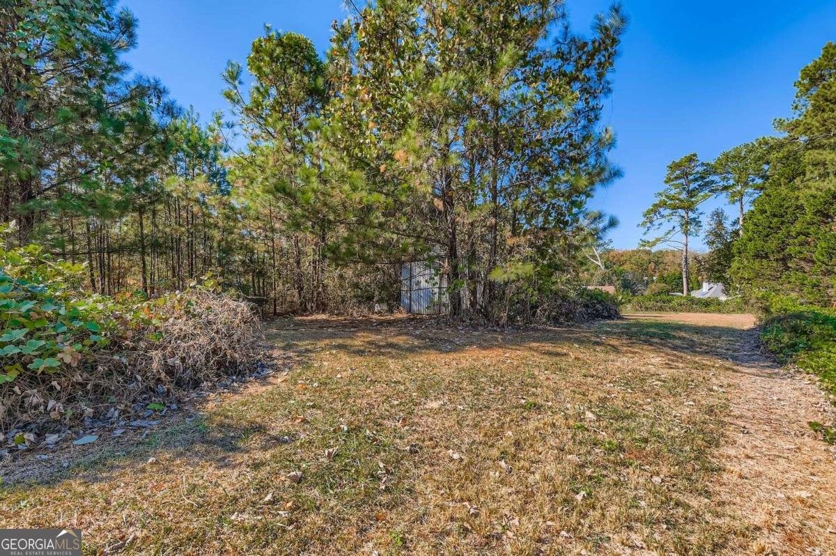 250 Smile Drive Conyers - 13