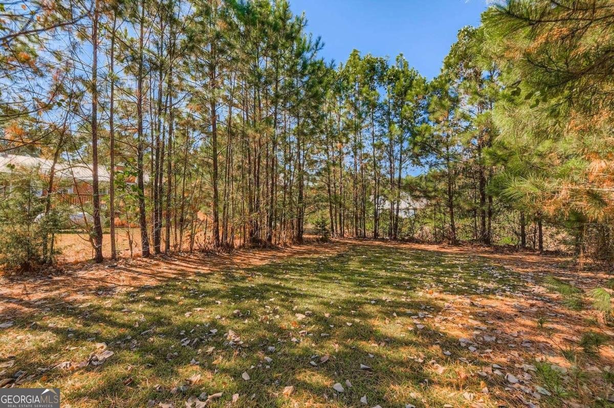 250 Smile Drive Conyers - 14