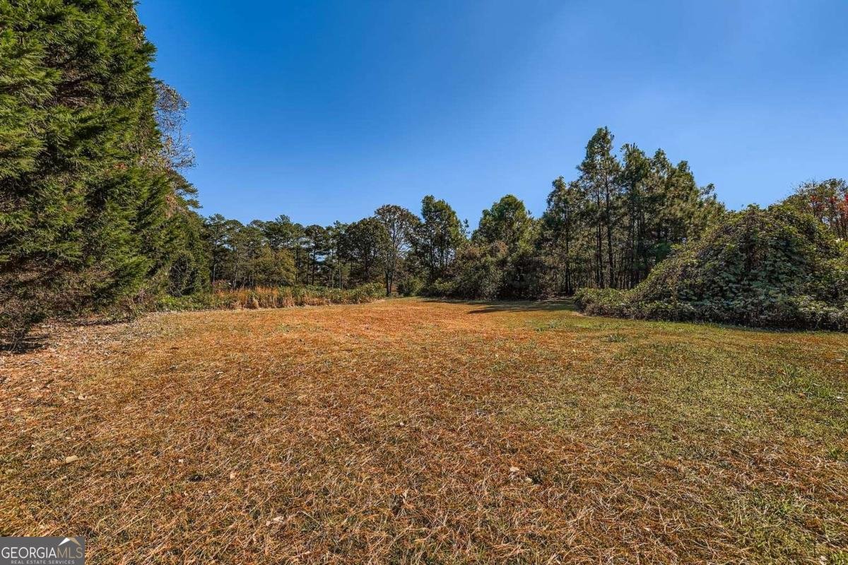 250 Smile Drive Conyers - 16