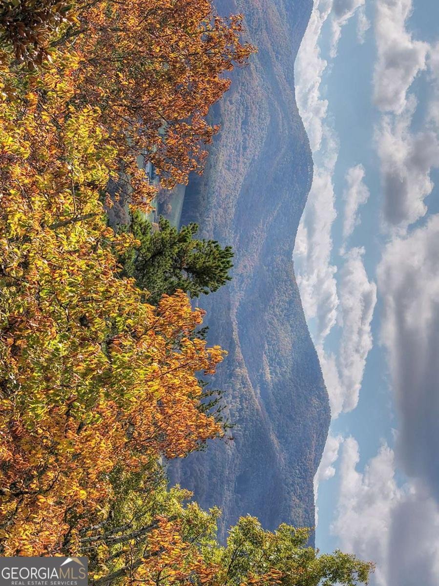 823 Arrant Road Blairsville - 3