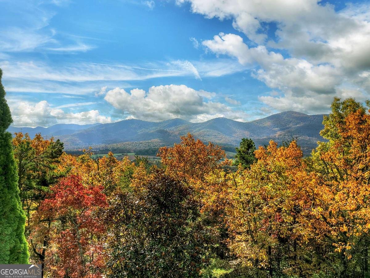 823 Arrant Road Blairsville - 5