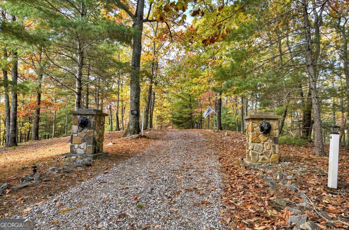 823 Arrant Road Blairsville - 50