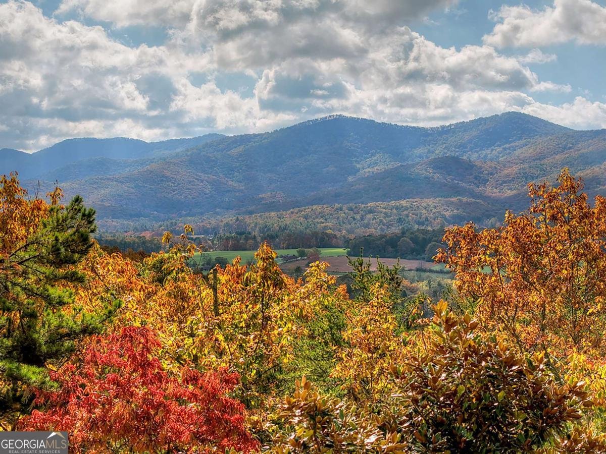 823 Arrant Road Blairsville - 6