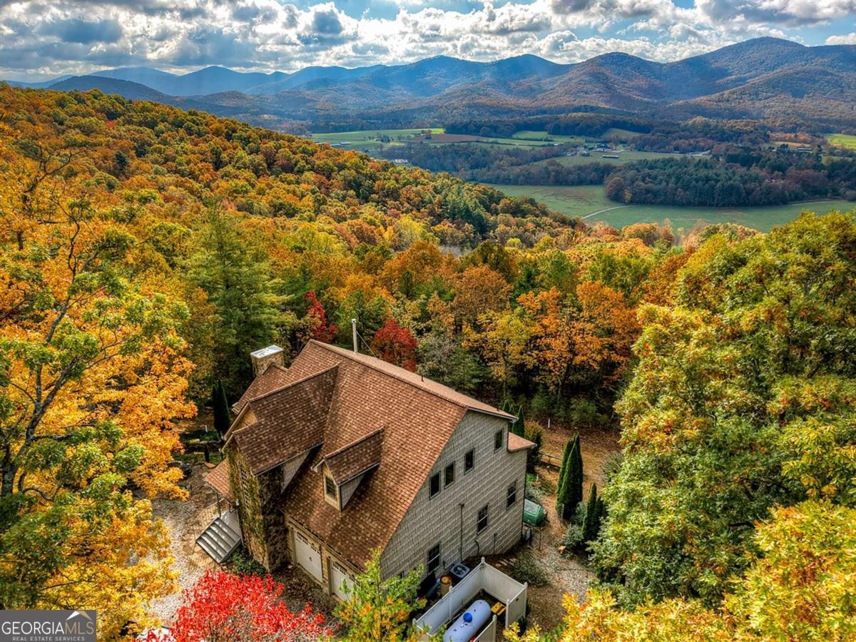 823 Arrant Road Blairsville - 7