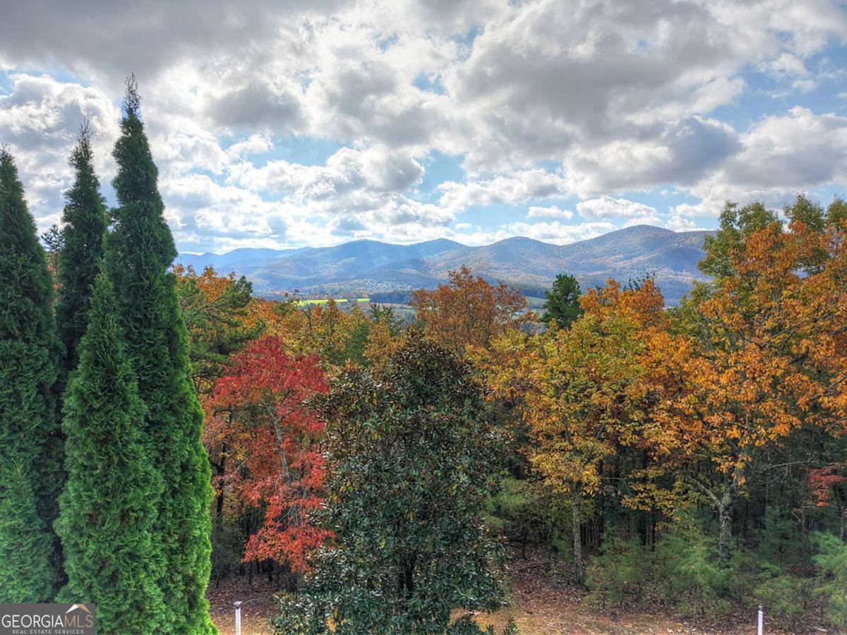 823 Arrant Road Blairsville - 8