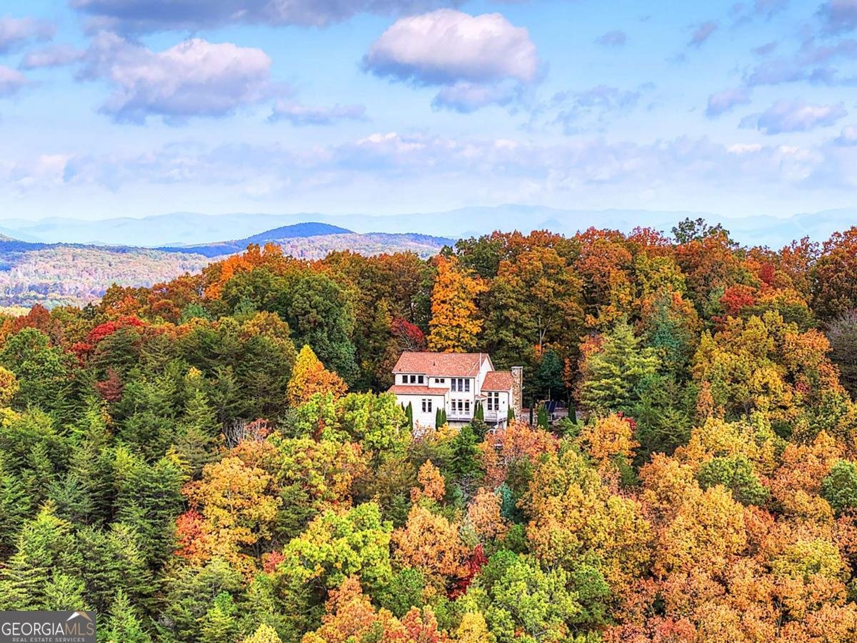 823 Arrant Road Blairsville - 9