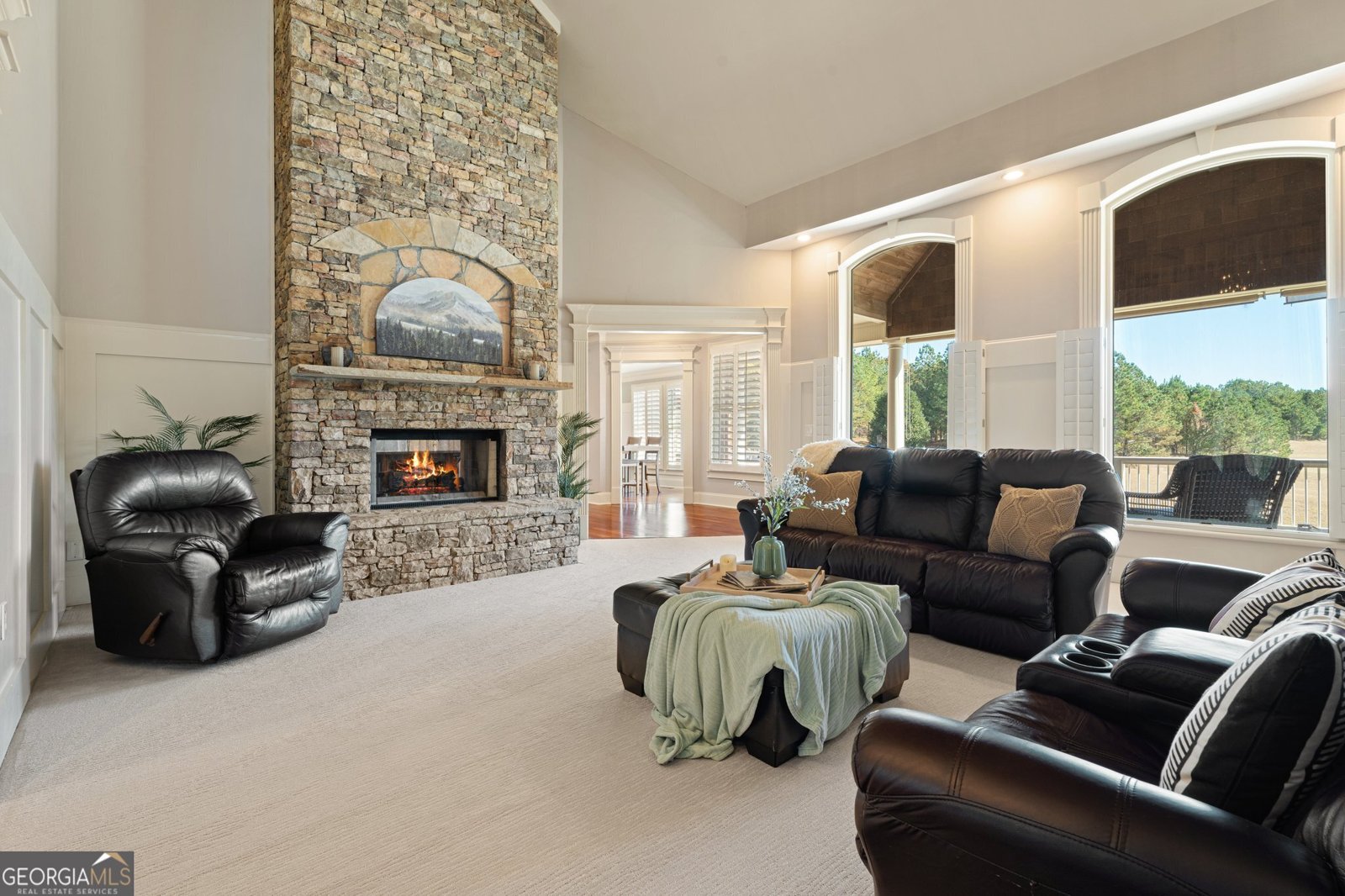 16 Gold Bullion Drive Dawsonville - 26