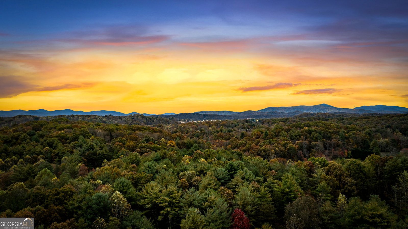 240 Twin Lakes Road Blue Ridge - 63