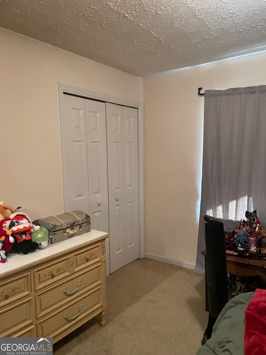 490 North Hall Road Dahlonega - 12