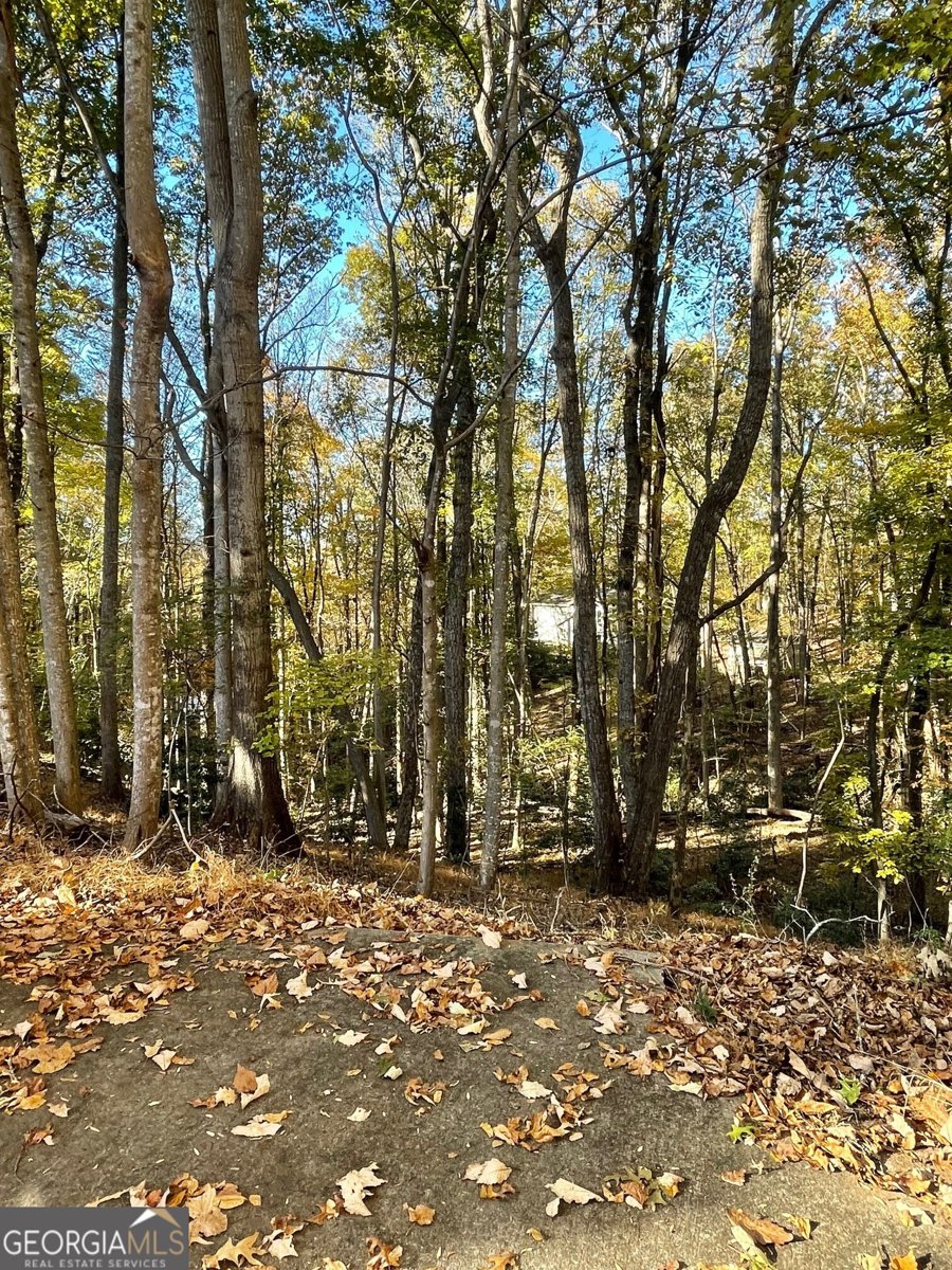 490 North Hall Road Dahlonega - 33