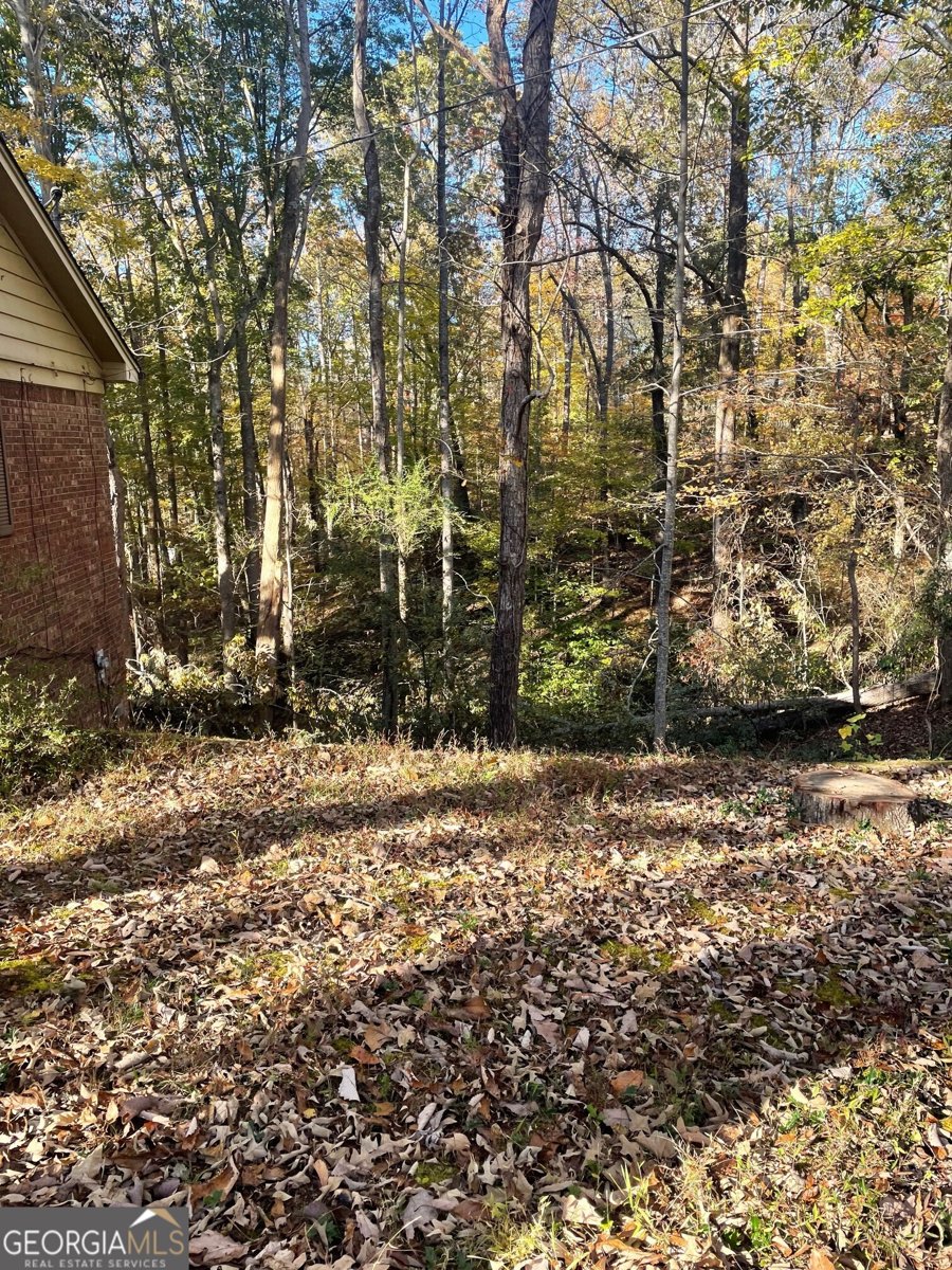 490 North Hall Road Dahlonega - 36