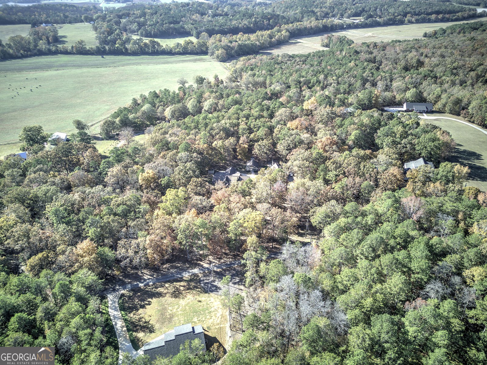 2253 Hills Creek Road Taylorsville - 6