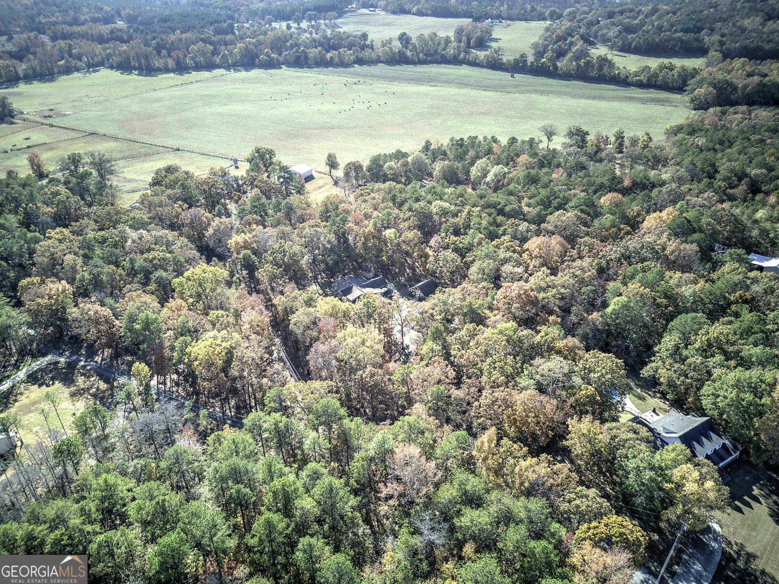 2253 Hills Creek Road Taylorsville - 7