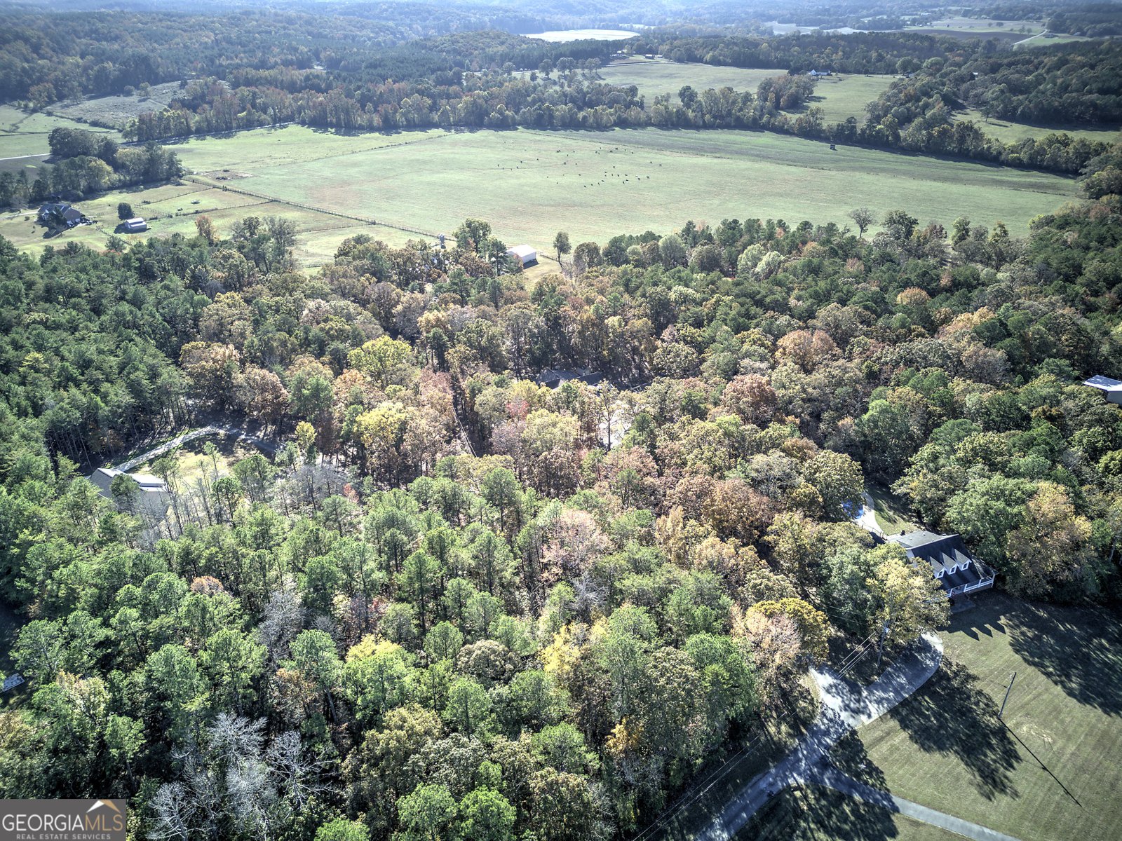 2253 Hills Creek Road Taylorsville - 8