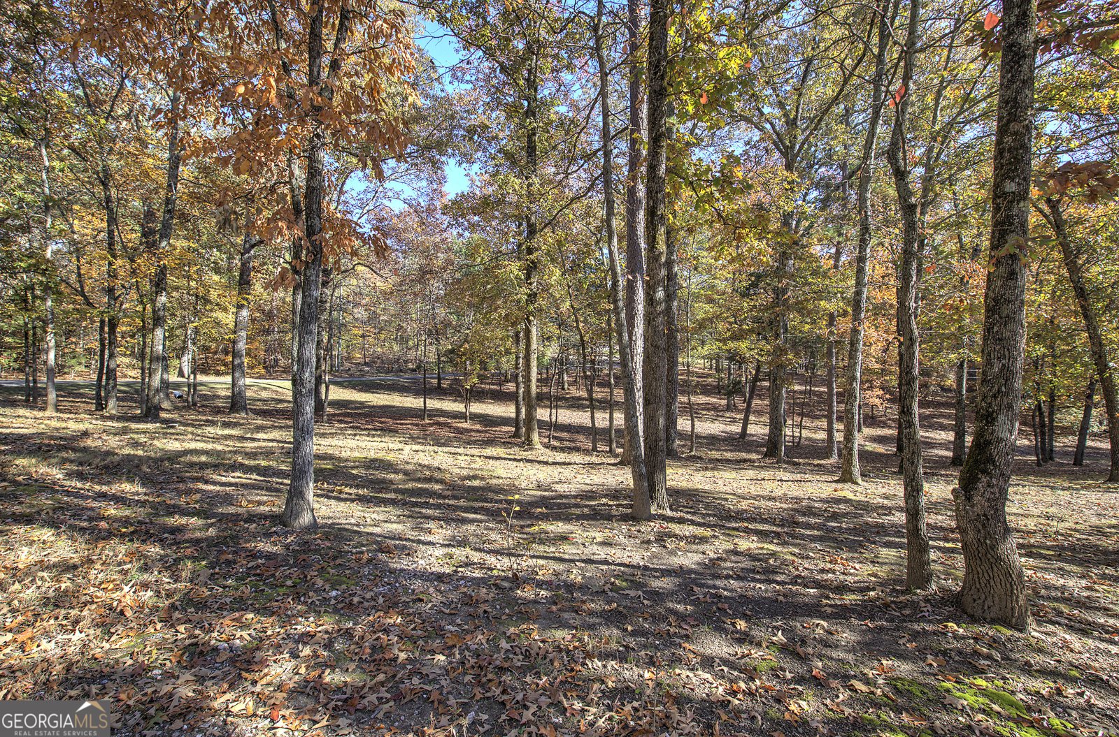 2253 Hills Creek Road Taylorsville - 83