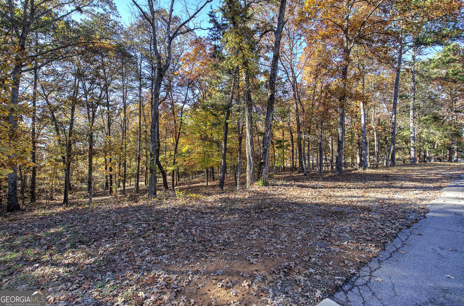 2253 Hills Creek Road Taylorsville - 87