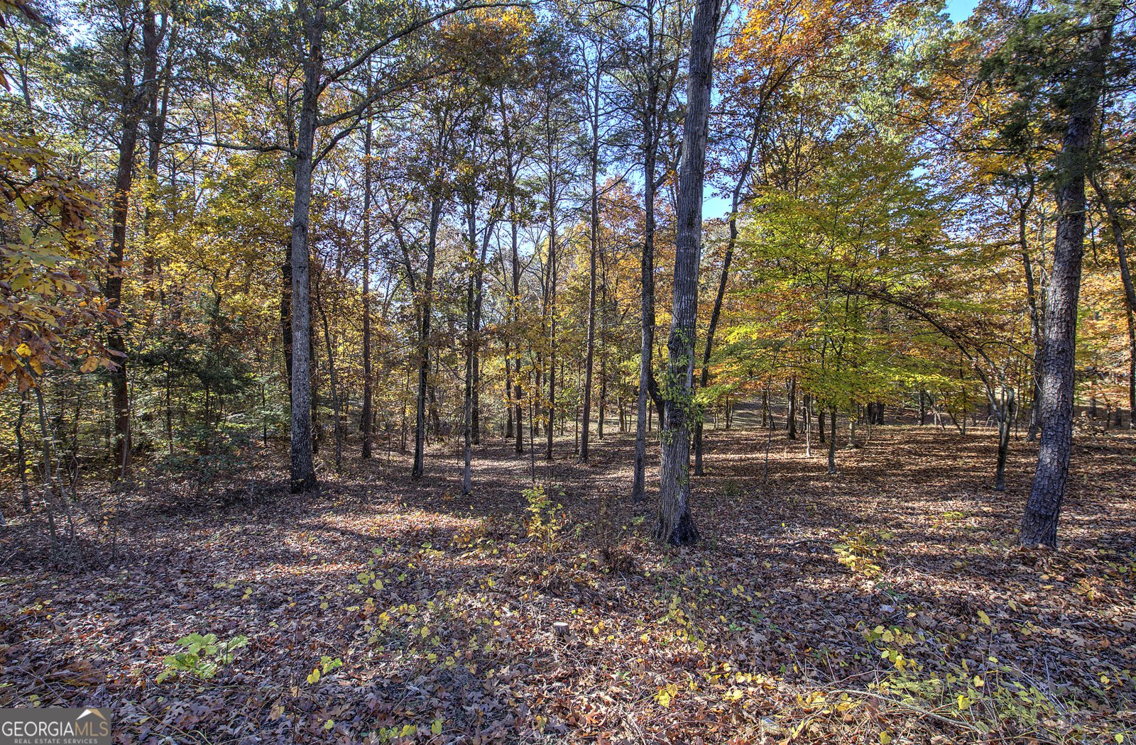 2253 Hills Creek Road Taylorsville - 88