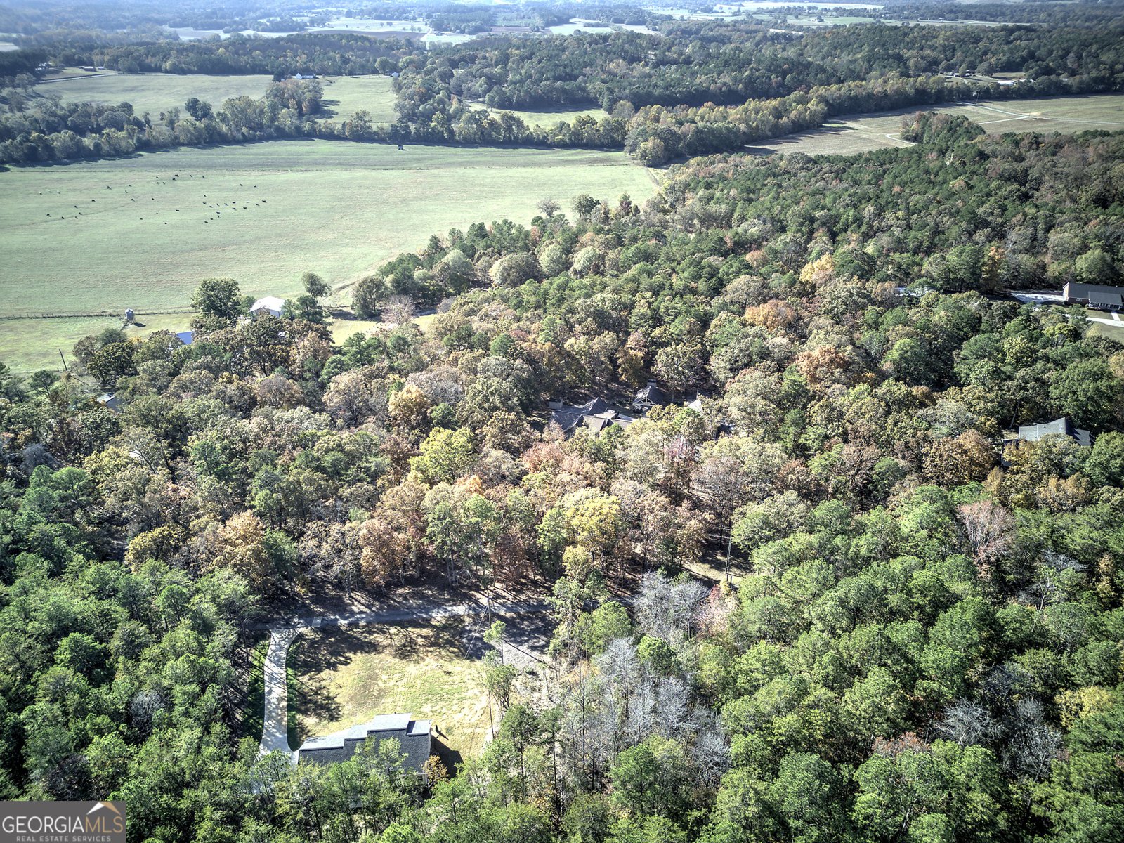 2253 Hills Creek Road Taylorsville - 9