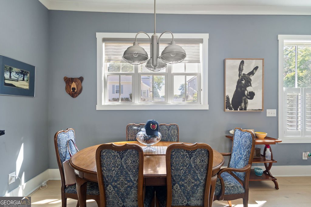 99 Middle Street Senoia - 9