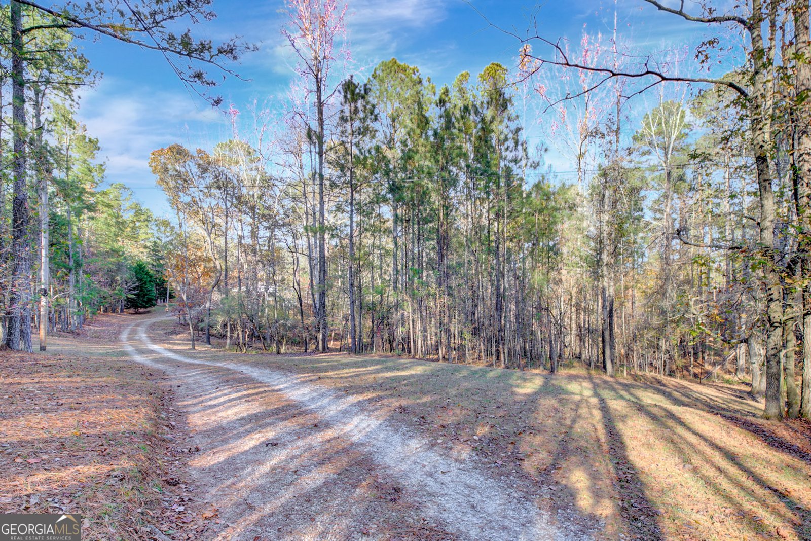 10185 Henry Mill Road Chattahoochee Hills - 23