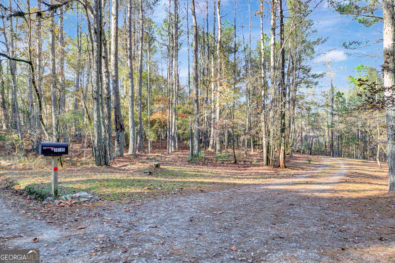 10185 Henry Mill Road Chattahoochee Hills - 24