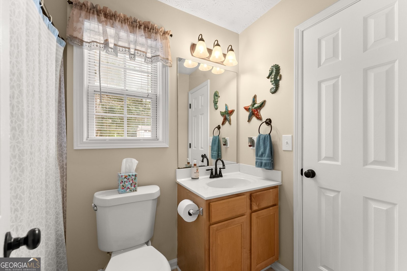 3574 Sunflower Drive Buford - 12