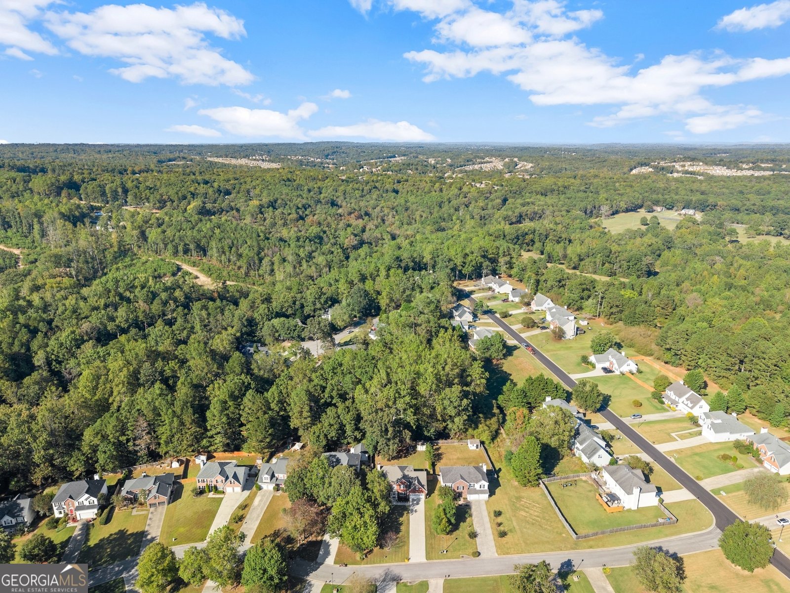 3574 Sunflower Drive Buford - 44