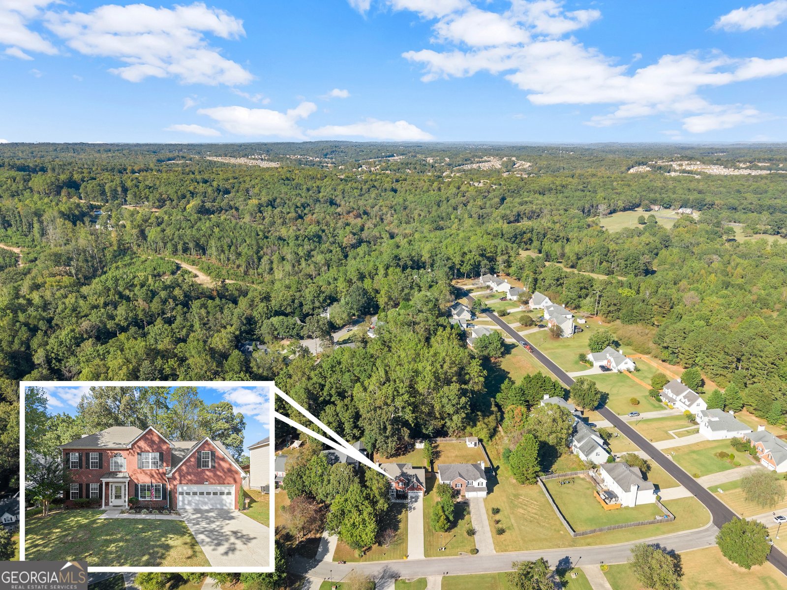 3574 Sunflower Drive Buford - 45