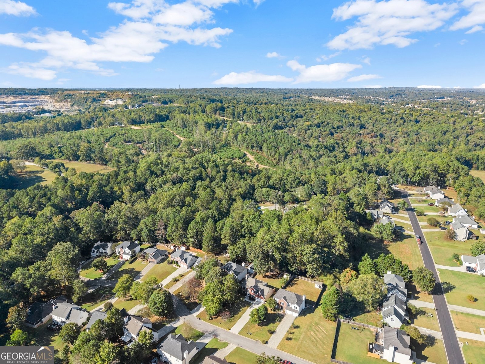 3574 Sunflower Drive Buford - 46