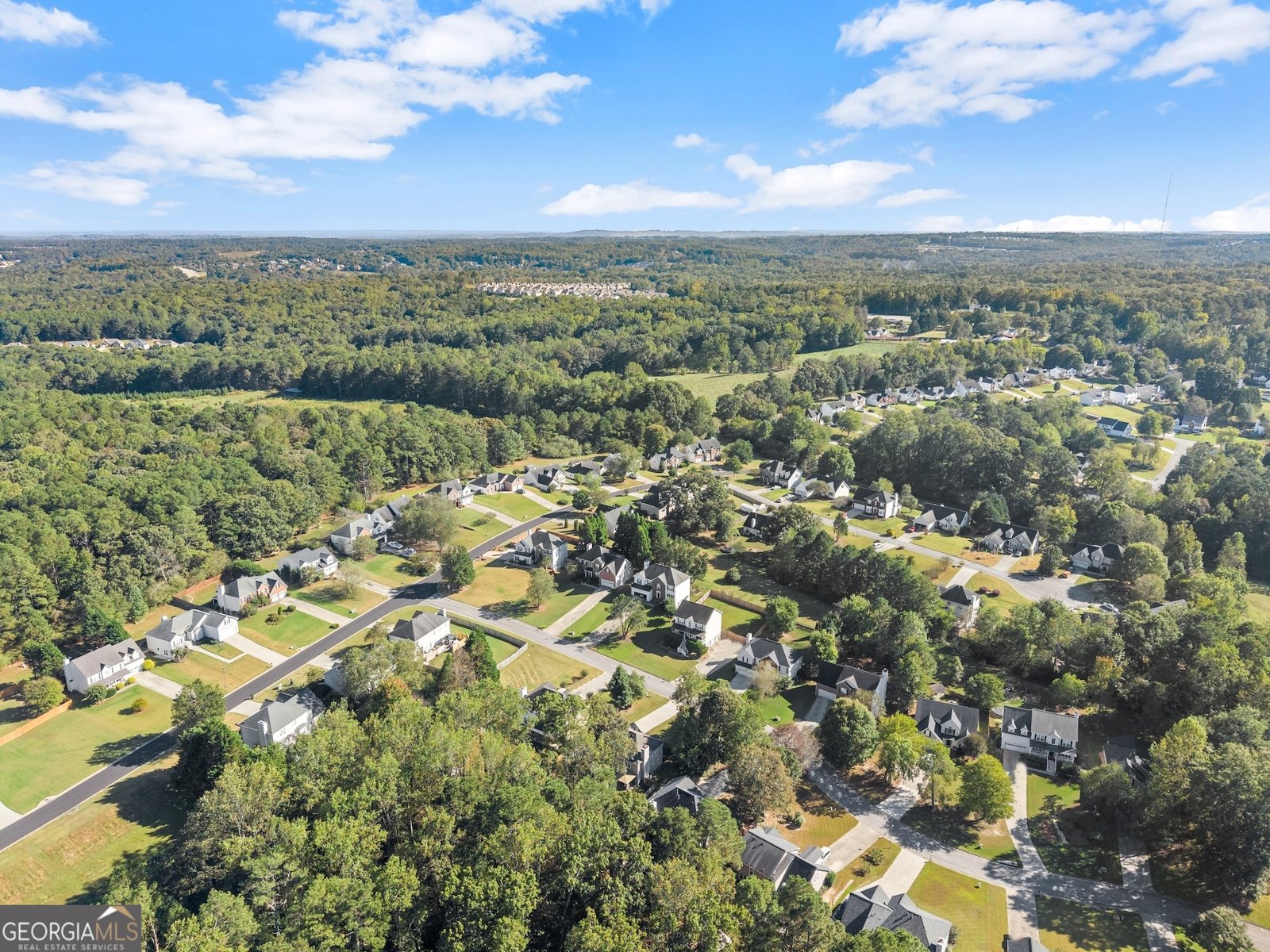 3574 Sunflower Drive Buford - 48