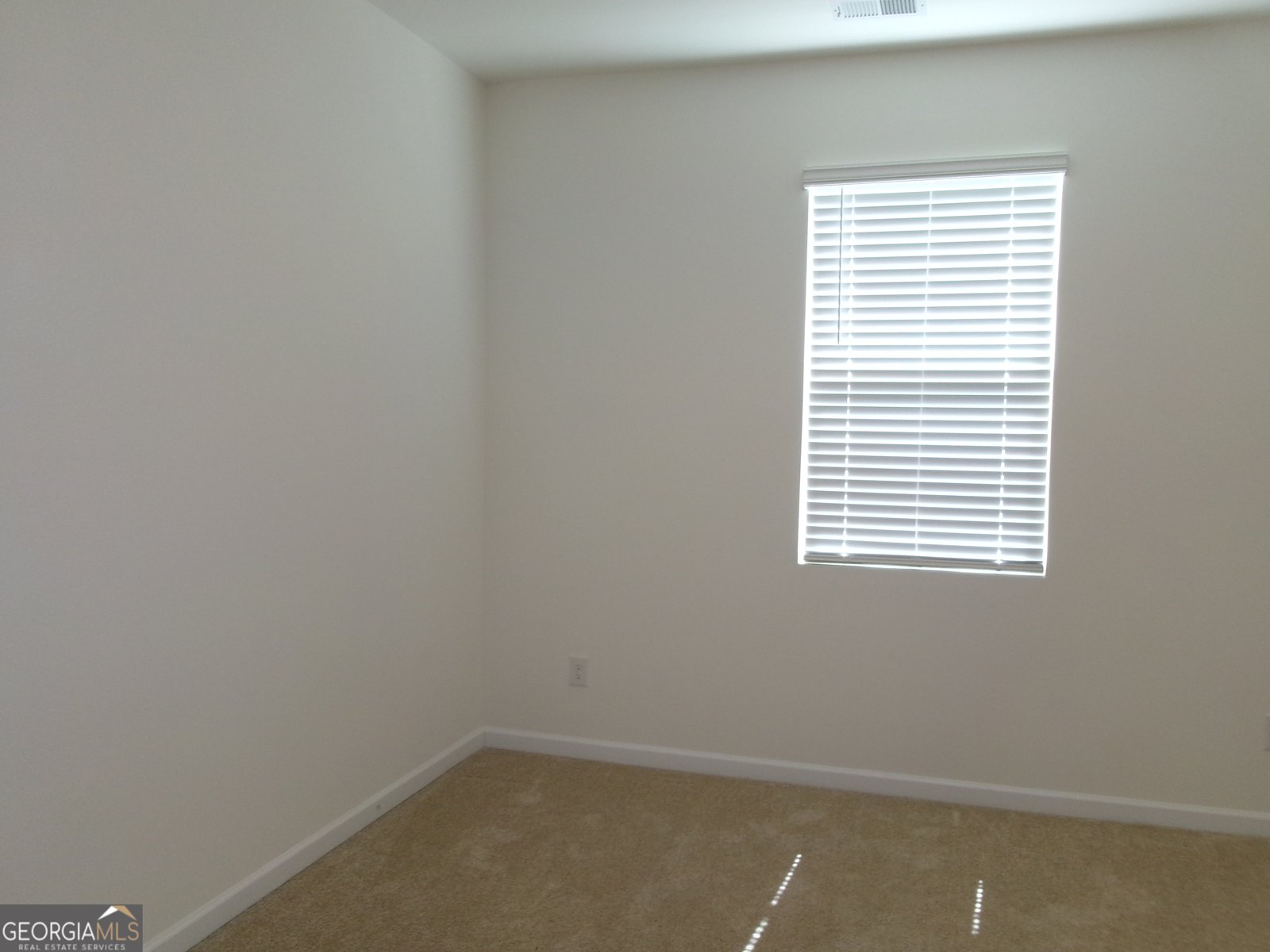 120 Montgomery Drive Stockbridge - 22