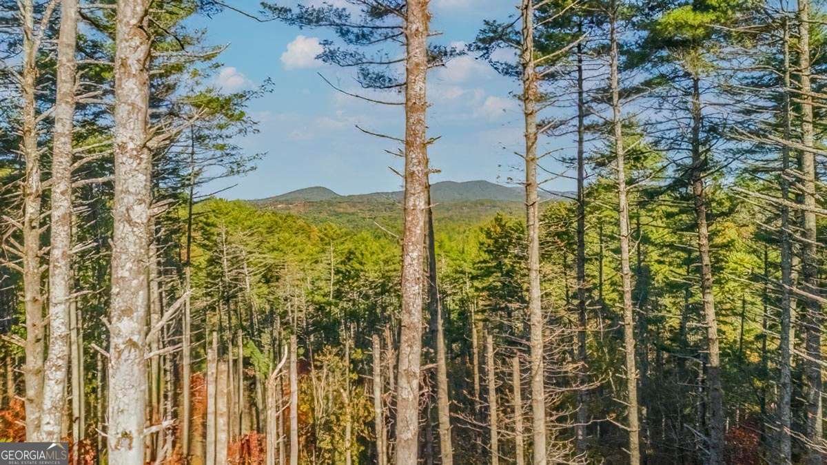 106 Still Run Run Morganton - 17