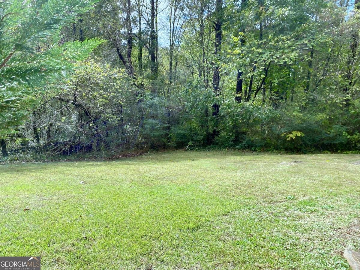 921 Appian Way Lawrenceville - 59