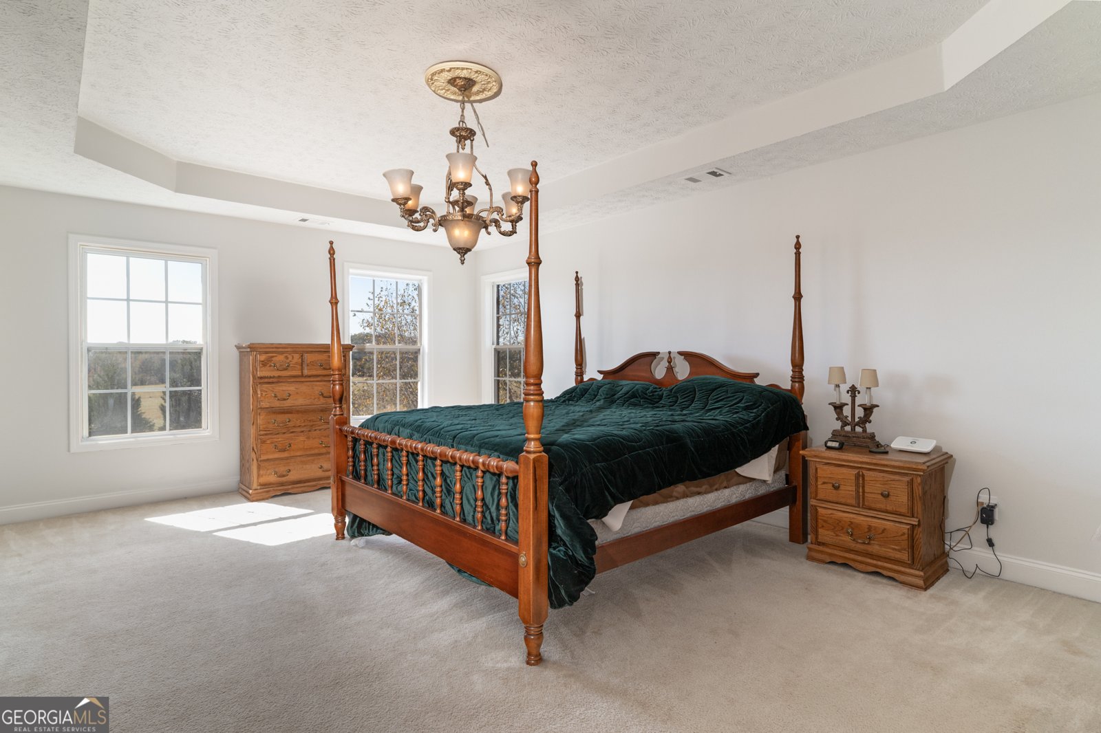 724 Teamon Road Griffin - 29