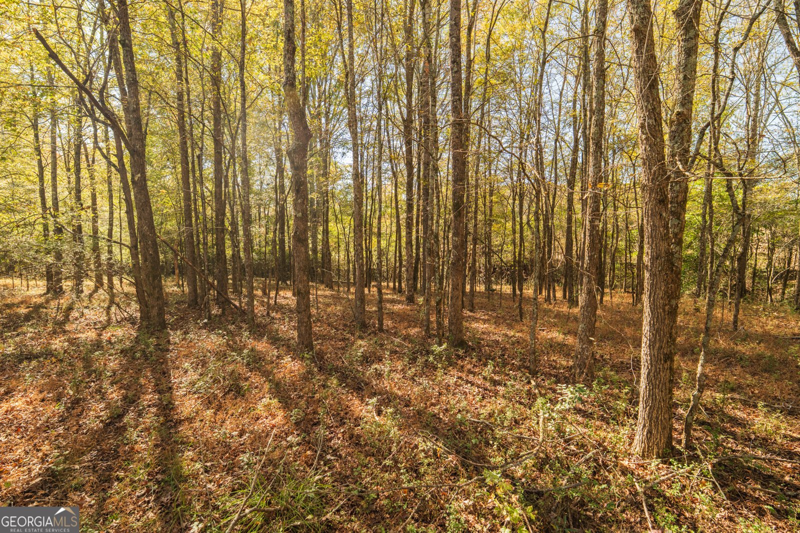 724 Teamon Road Griffin - 40