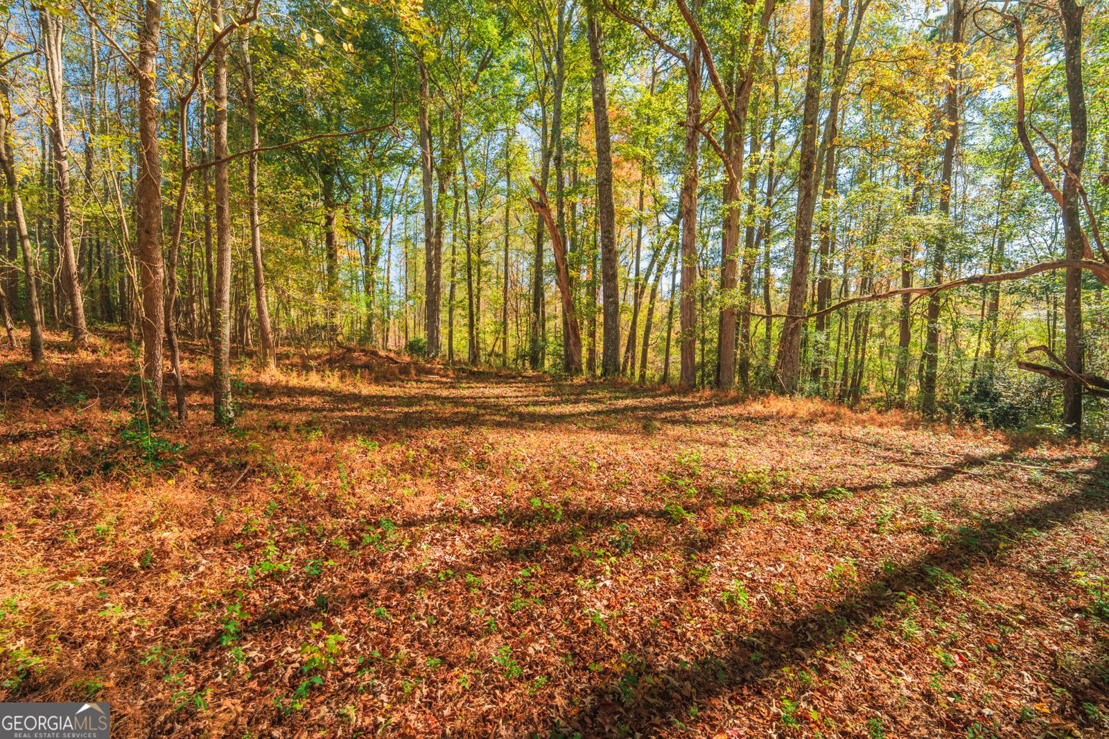 724 Teamon Road Griffin - Photo 50