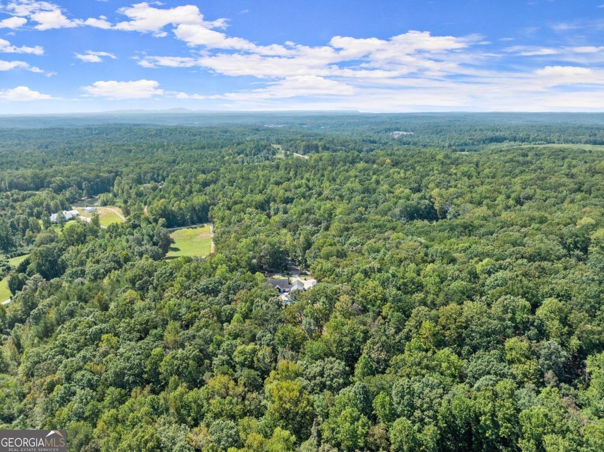 255 Reece Road Dawsonville - 53