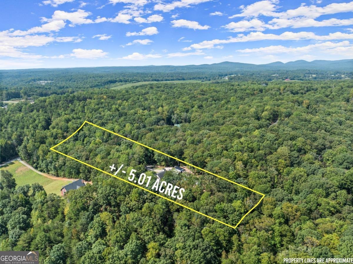 255 Reece Road Dawsonville - 55