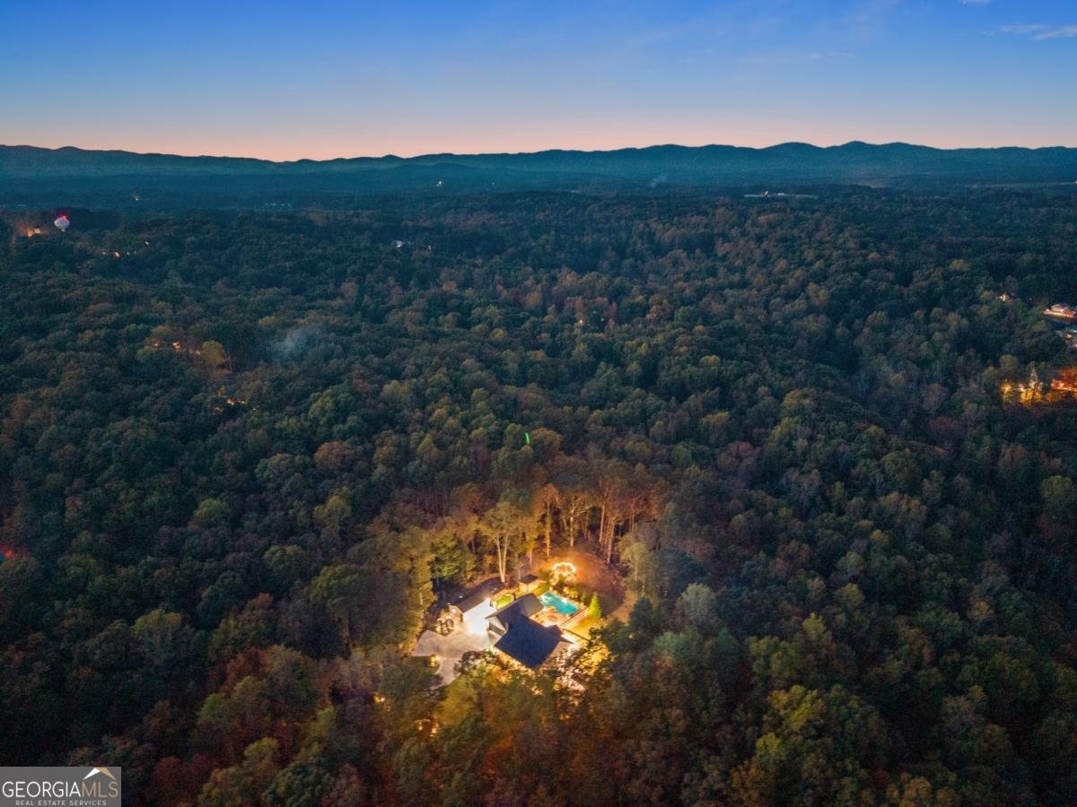 255 Reece Road Dawsonville - 69